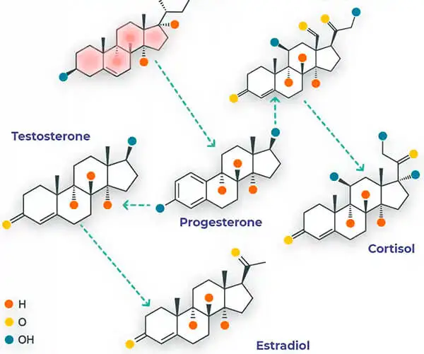 Synthetic Hormones vs. Bioidentical